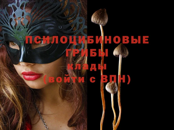 spice Баксан